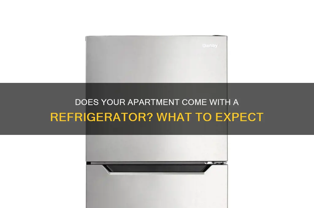 does the apartment already have a refrigerator