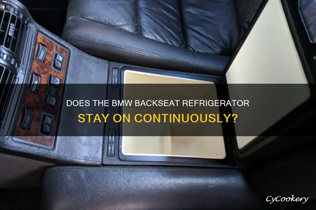 does the backseat refrigerator always stay on bmw