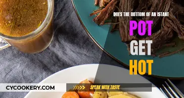 Instant Pot Heat Mystery: Understanding the Base