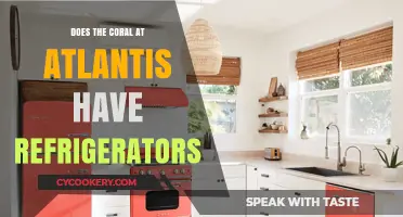 Does Atlantis' Coral Accommodations Include Refrigerators? Exploring the Amenities