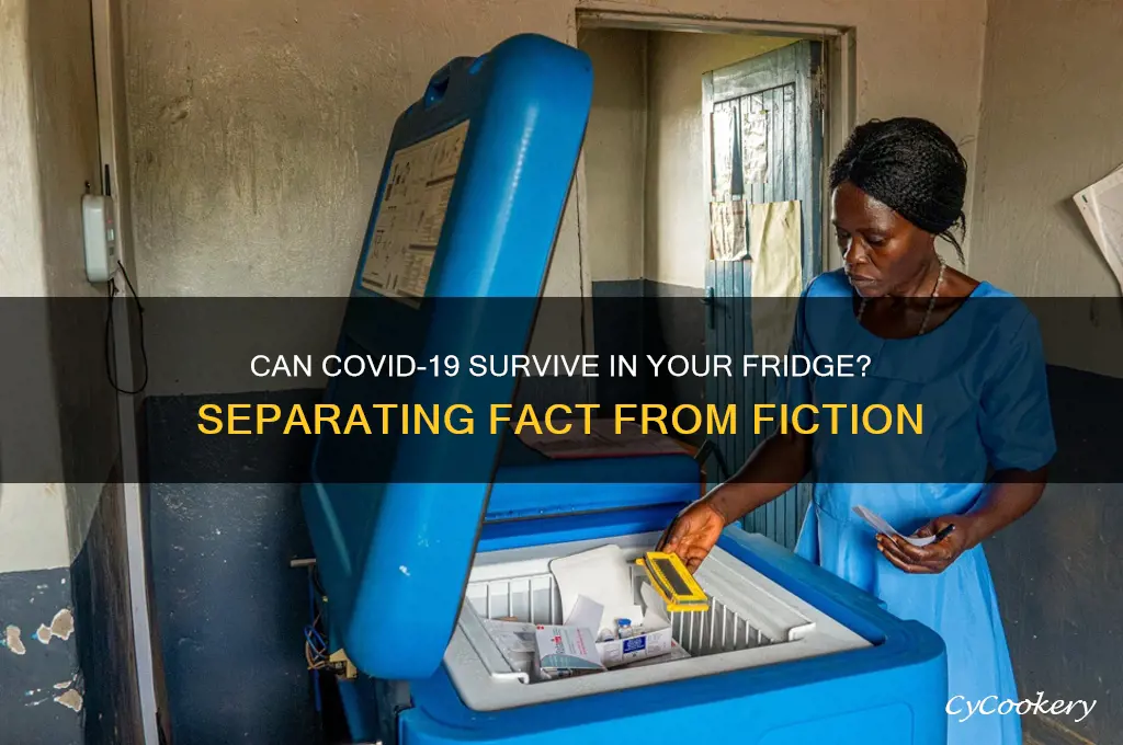does the corona virus die in the refrigerator