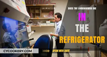 Can Refrigerators Kill Coronavirus? Exploring Cold Storage and Virus Survival