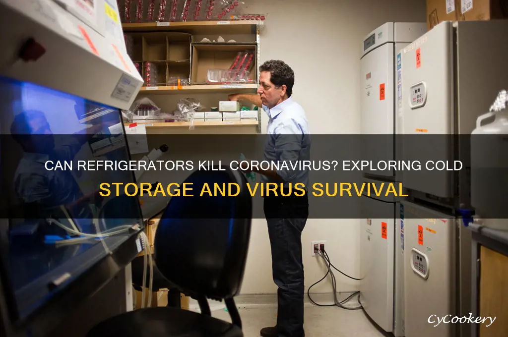 does the coronavirus die in the refrigerator