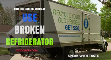 Can Electric Companies Recycle Broken Refrigerators for Energy Efficiency?