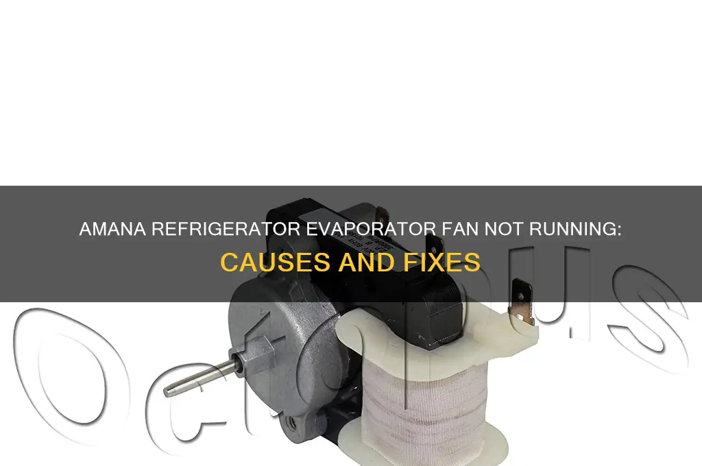 does the evaporator fan not running amana refrigerator