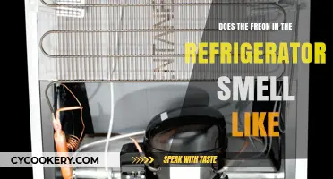 What Does Freon Smell Like in Your Refrigerator?