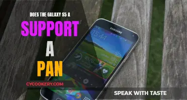 Samsung Galaxy S5: Pan-Network Support?