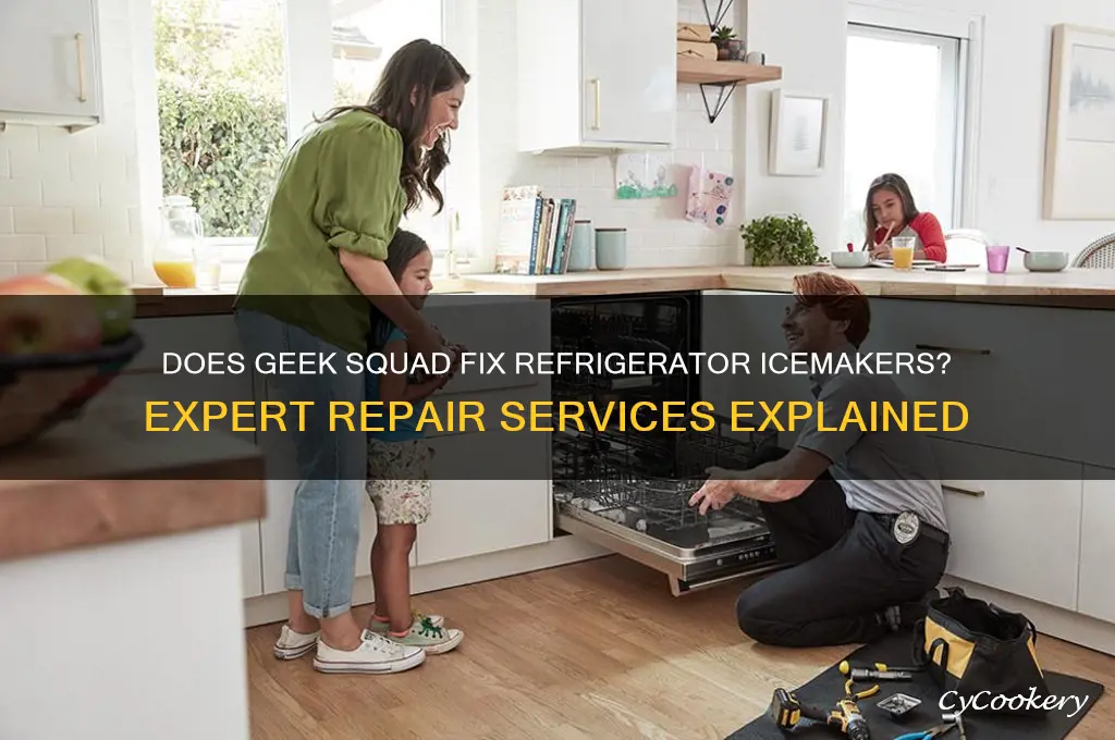 does the geek squad repair refrigerator icemakers