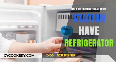 Does the International Space Station Have Refrigerators? Exploring ISS Storage