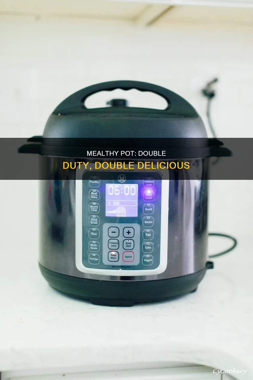 does the mealthy pot cook two meals