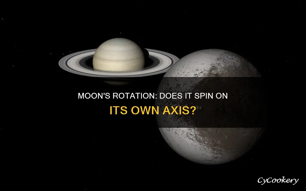 does the moon pan rotate