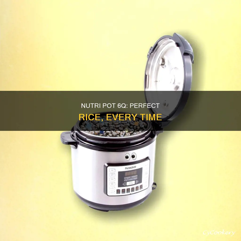 does the nuwave nutri pot 6q cook rice