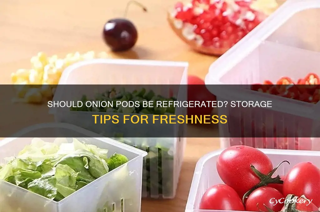 does the onion pod have to be in refrigerator