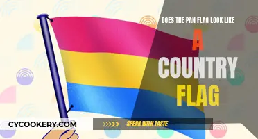 The Pan Flag: A Country's Pride or Not?
