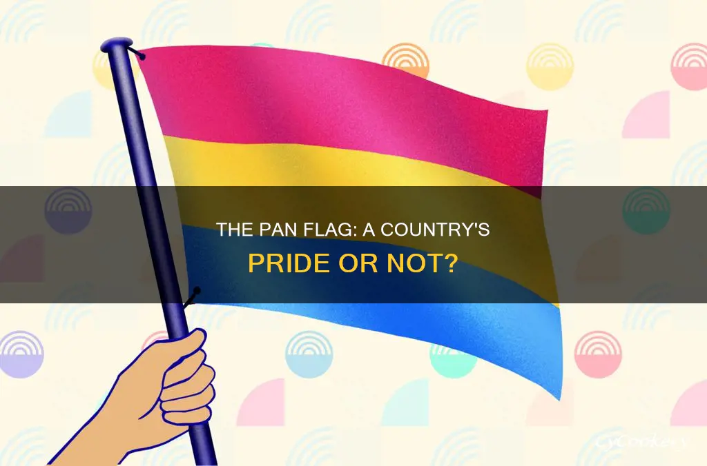 does the pan flag look like a country flag