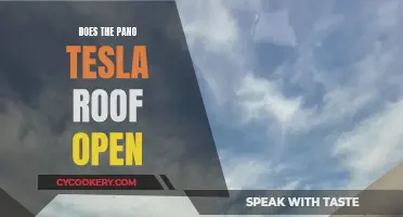 Tesla's Pano Roof: Open-Air Experience?