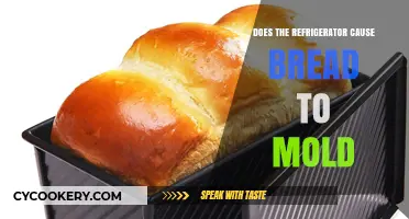 Does Refrigeration Prevent or Accelerate Bread Mold Growth?