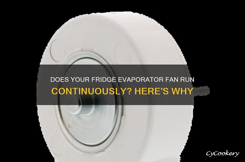 does the refrigerator evaporator fan always run