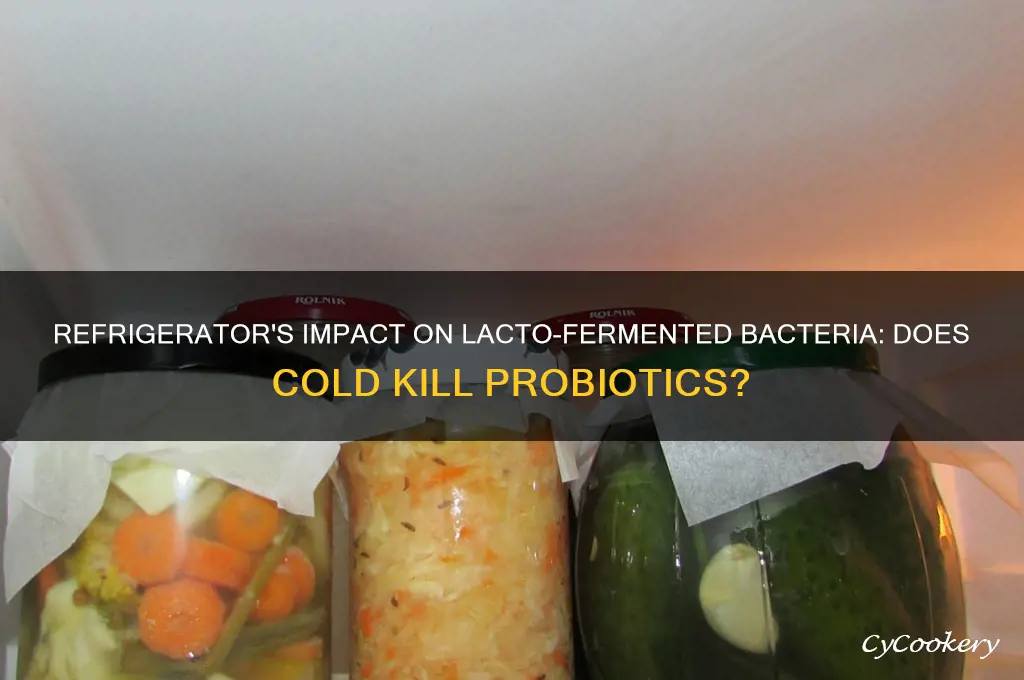 does the refrigerator kill lacto fermented bacteria