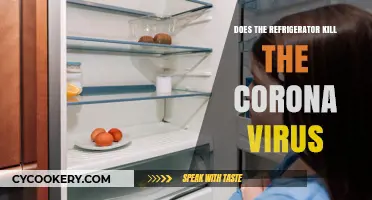 Refrigerator and COVID-19: Can Cold Temperatures Kill the Coronavirus?