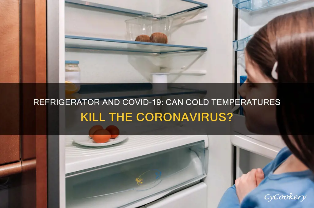 does the refrigerator kill the corona virus
