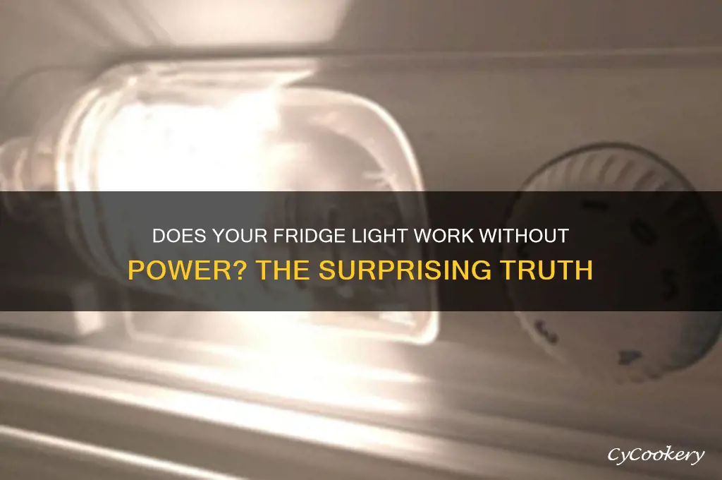 does the refrigerator light stay work with no power