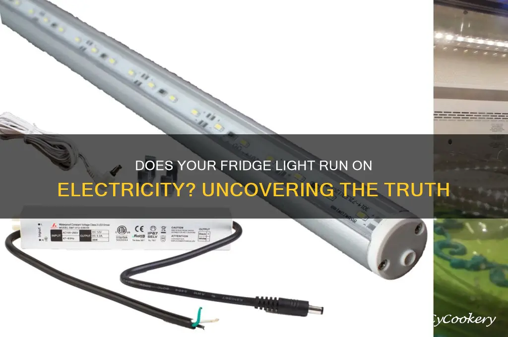 does the refrigerator light work on electricity