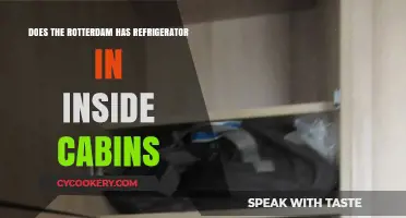 Rotterdam Cruise Cabins: Do Inside Rooms Include Refrigerators?