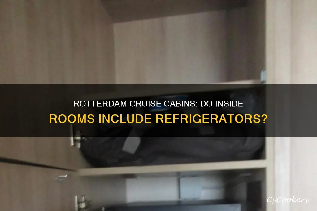 does the rotterdam has refrigerator in inside cabins