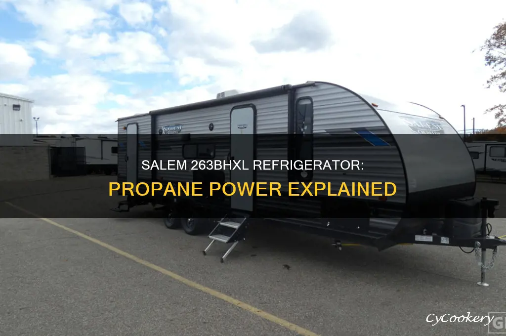 does the salem 263bhxl refrigerator run on propane