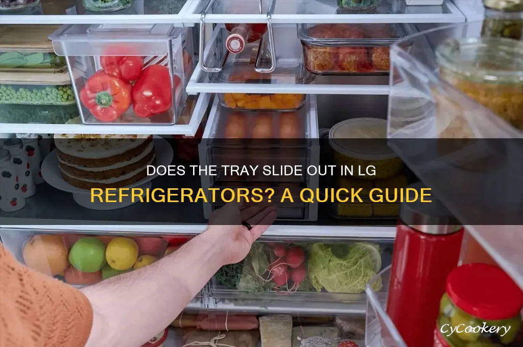 does the tray come out from lg refrigerator