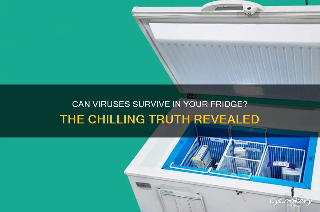 does the virus die in the refrigerator