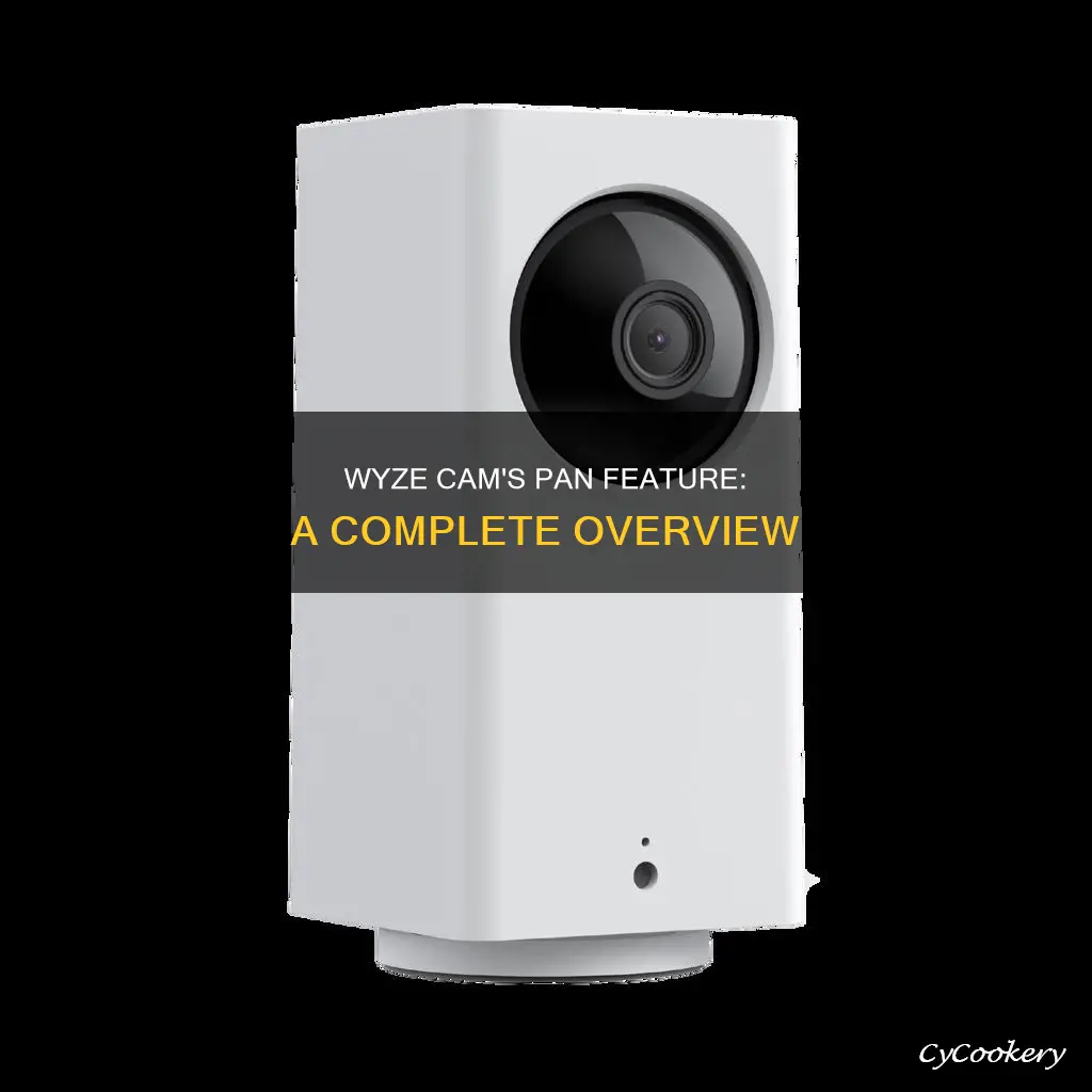 does the wyze camera pan