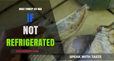 Does Turkey Spoil Without Refrigeration? Storage Tips and Safety Guide