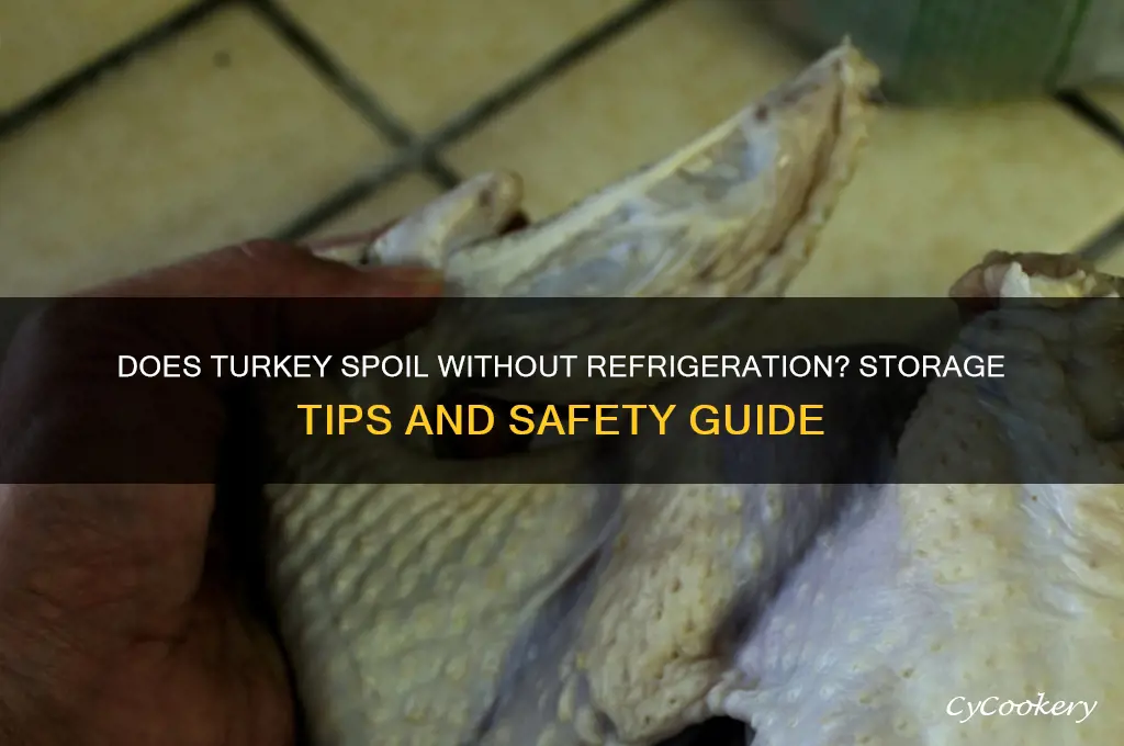 does turkey go bad if not refrigerated