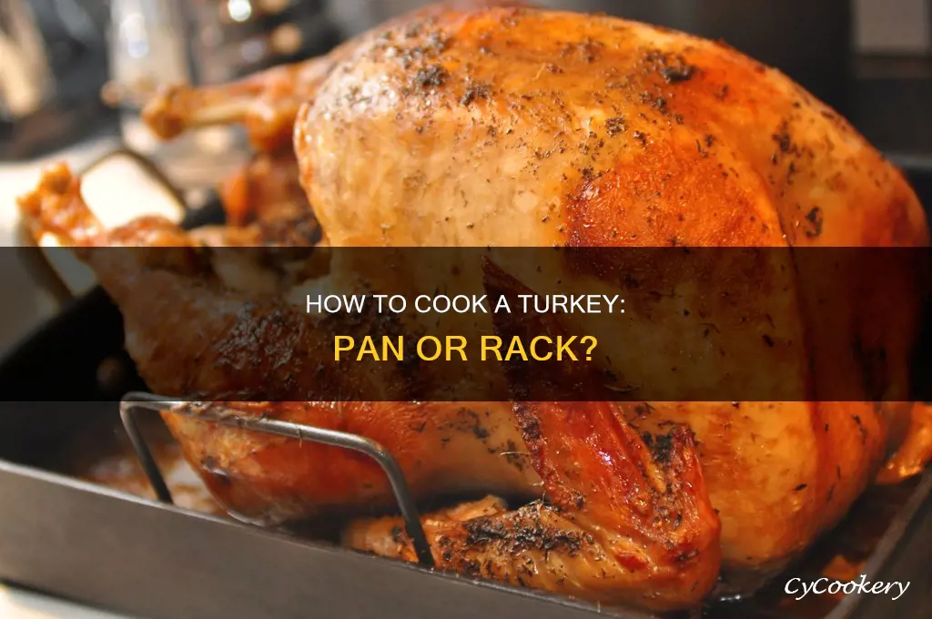 does turkey go directylu on pan or in rack