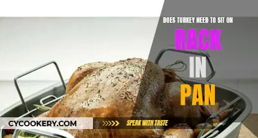 Roast Turkey: Rack or Pan?