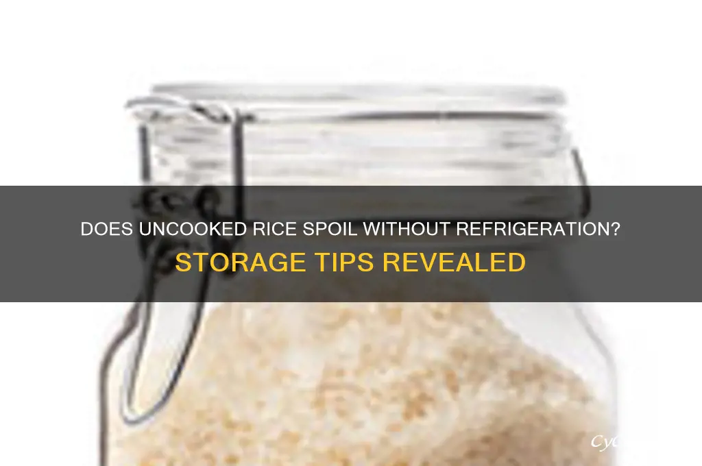 does uncooked rice go bad if not refrigerated