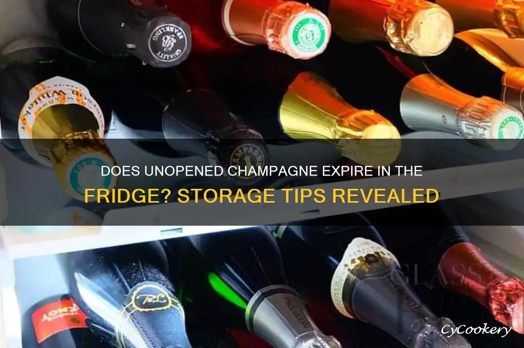 does unopened champagne go bad in refrigerator