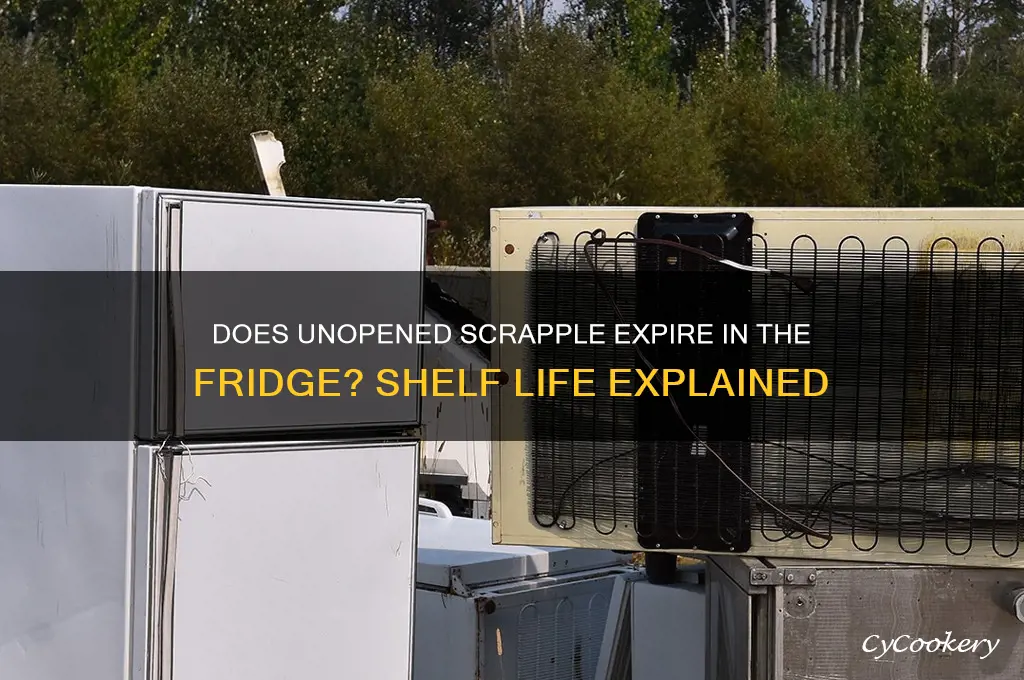 Does Unopened Scrapple Expire In The Fridge? Shelf Life Explained ...