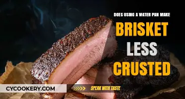 Water Pan vs. Brisket Crust: Does Moisture Soften the Bark?