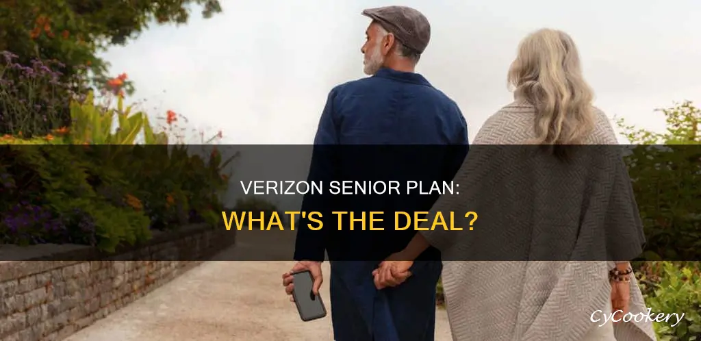 does verizon have a senior pan