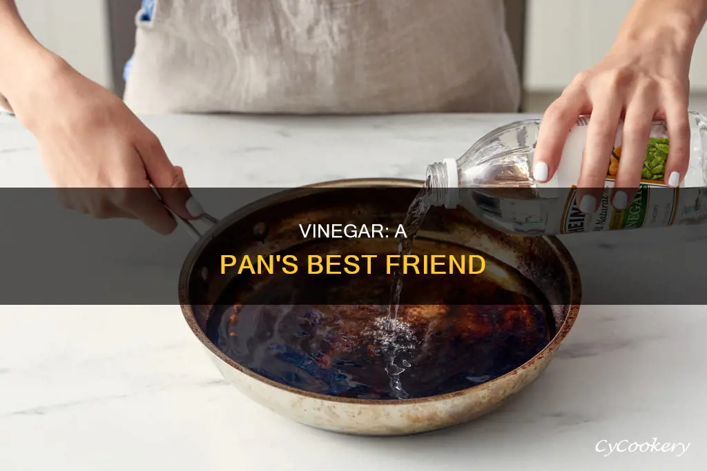 does vinegar remove burnt food from pan