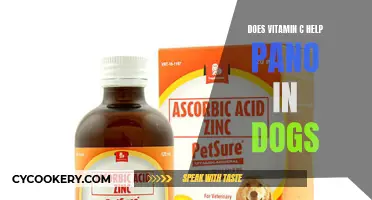 Vitamin C's Role in Treating Dog Pano
