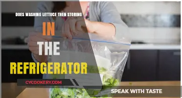 Washing Lettuce Before Refrigerating: Best Practices for Freshness and Safety