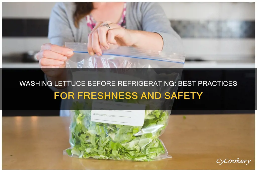 does washing lettuce then storing in the refrigerator