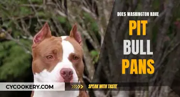 Washington's Pit Bull Ban: What's the Deal?