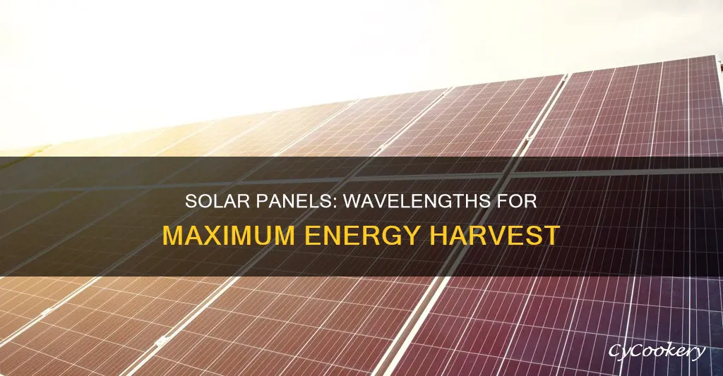 does wavelength matter solar pan