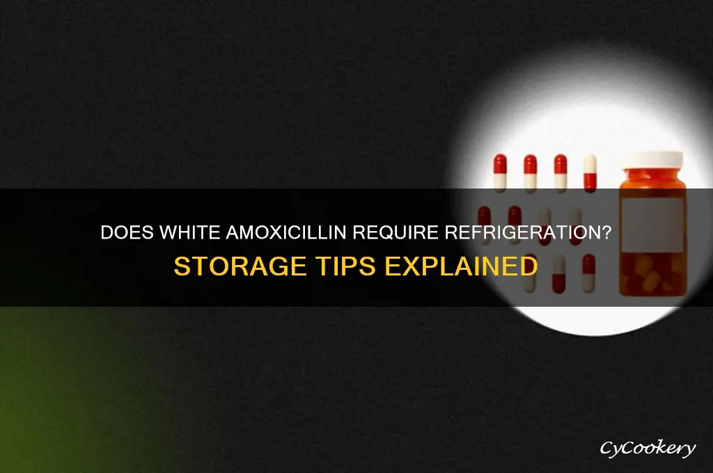 does white amoxicillin have to be refrigerated