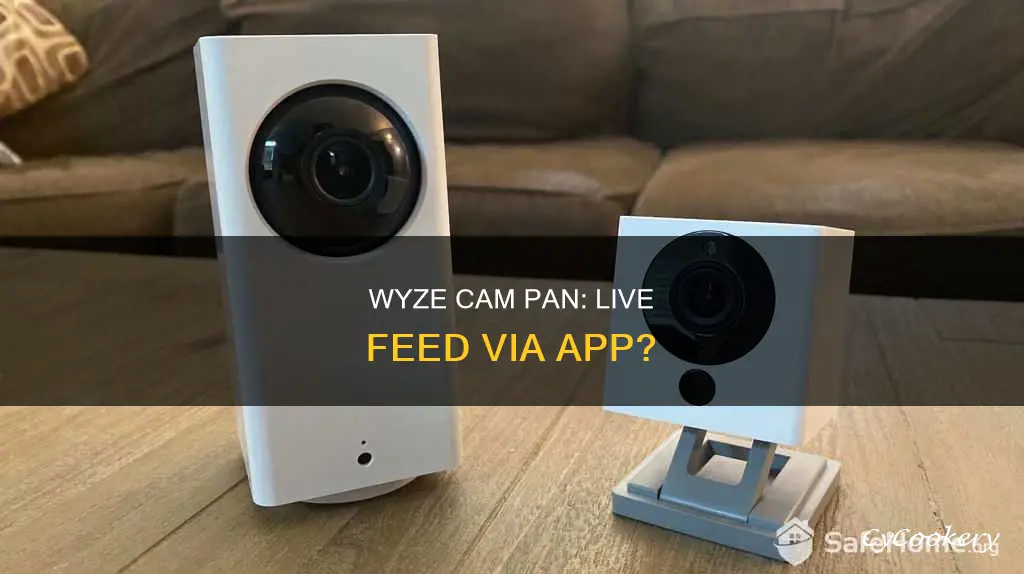 does wyze cam pan camera feed an app